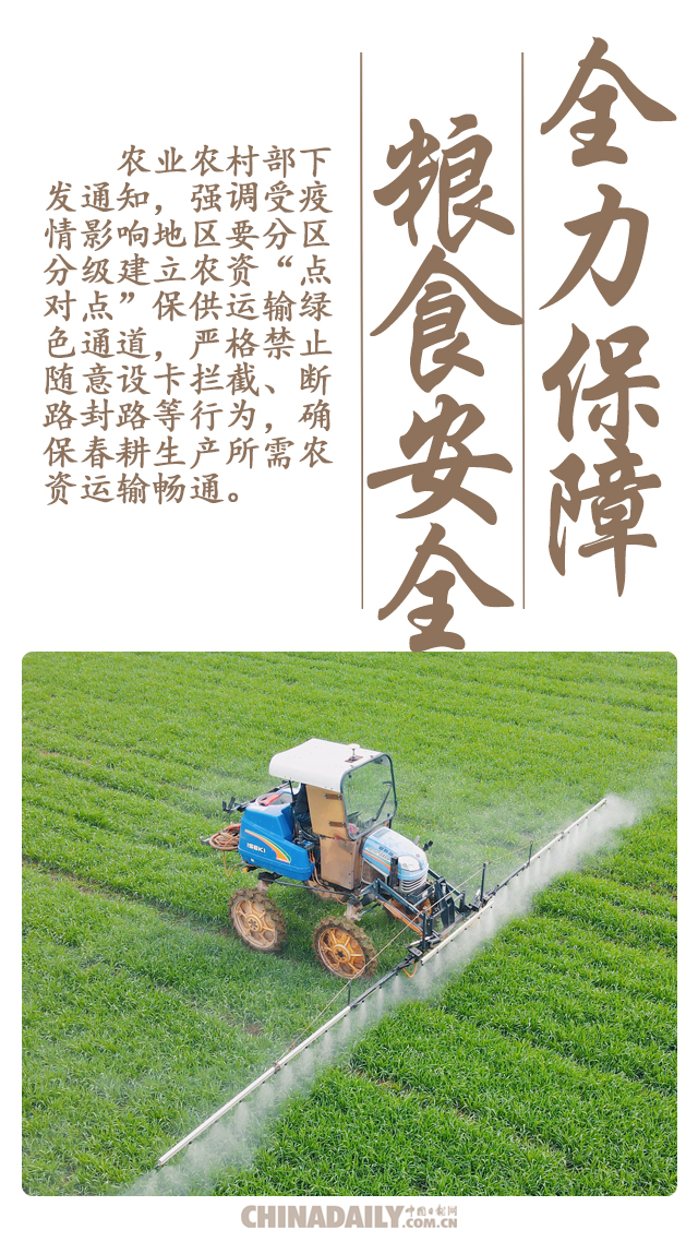 粮食安全保障，全球挑战与应对策略，全球粮食安全挑战与应对策略