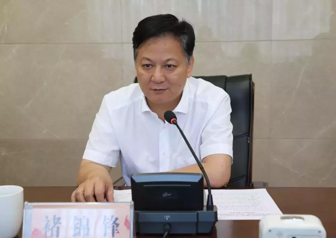 债务风险管理，挑战与应对策略，债务风险管理的挑战与应对策略