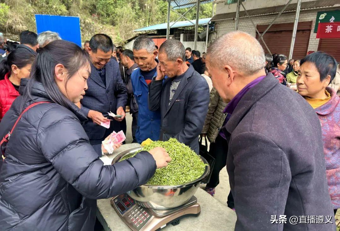 闷精华游戏免费下载探秘，游戏世界的无限魅力