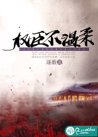权臣最新章节揭秘，影响力深度展望