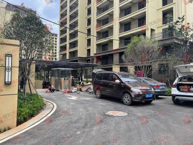 昆明泛亚展现新动力，地区经济发展最新动向