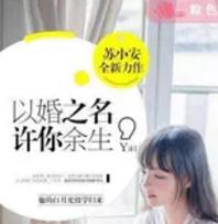程延之夏云笙最新章节揭秘，情感纠葛与故事进展回顾