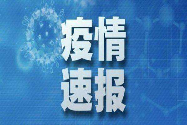 松原市最新疫情通报情况概览，最新数据与动态更新