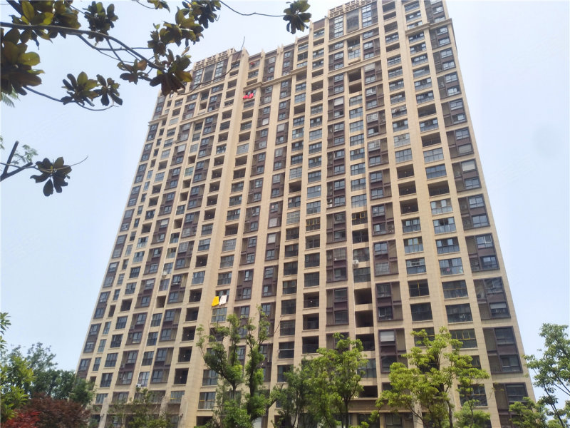 宿迁印象，探索最新动态之旅