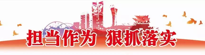 临朐县委书记引领时代新篇章,卓越领导者的使命与担当