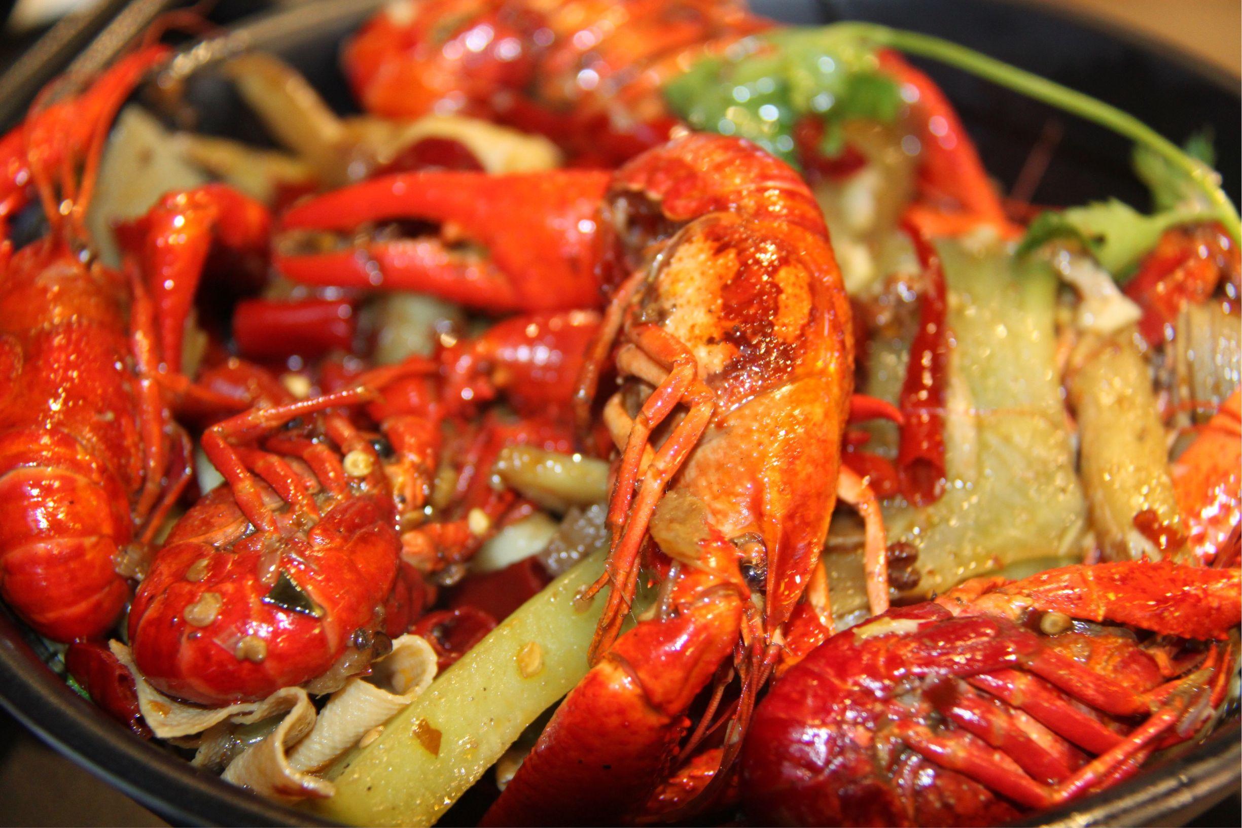 食宝街新面貌揭秘，美食潮流与文化探索之旅